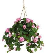 Artificial Plants & Flowers